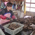 養殖期間中たくさんの種類の汚れを1つ1つていねいにとり除きます。